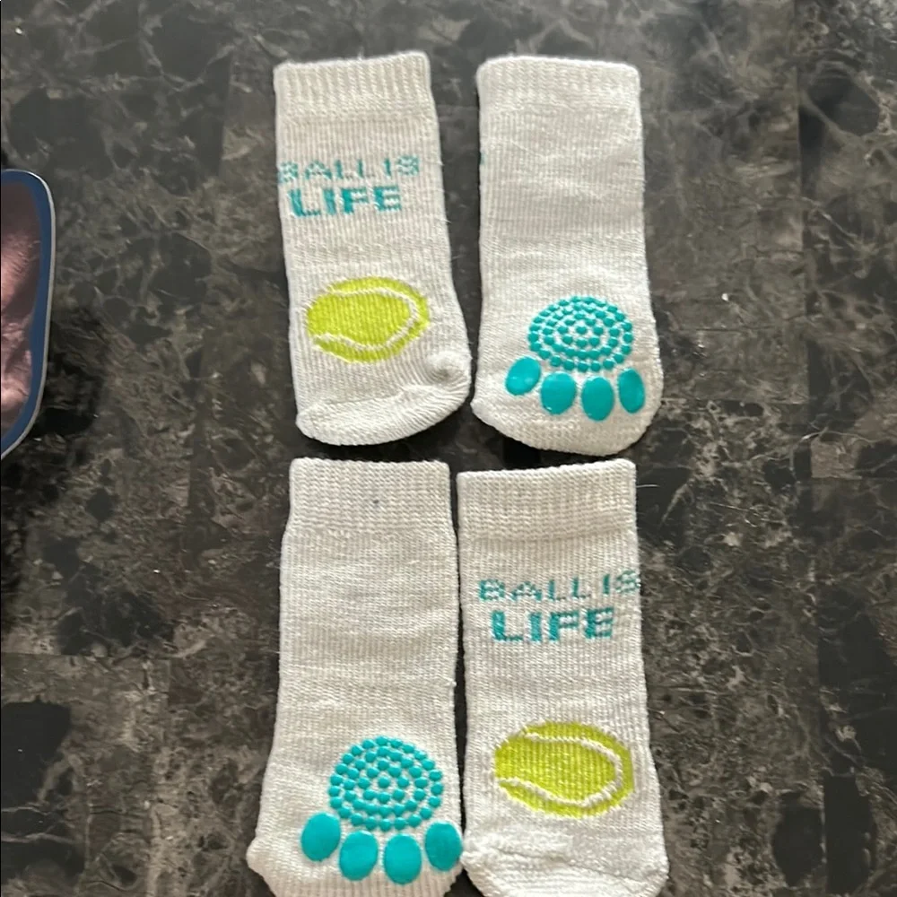 Light Gray dog Socks and sun glasses
